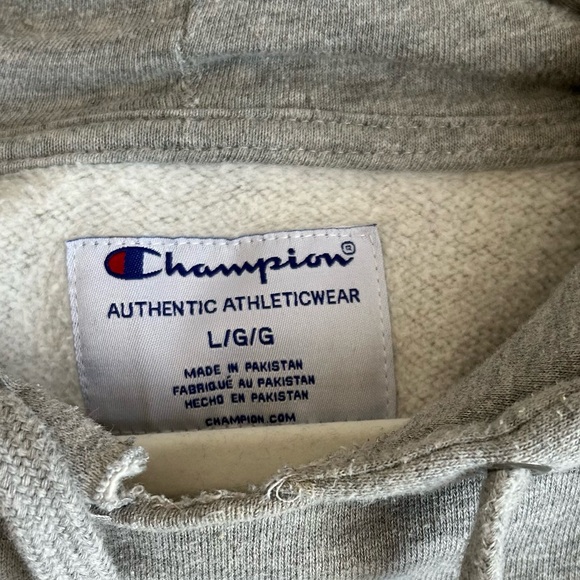 🩷AUTHENTIC CHAMPION GRAY HOODIE SWEATSHIRT FALL WINTER SIZE LARGE LOGO - Picture 5 of 8